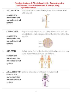 Preview of Nursing Anatomy & Physiology 2026 – Comprehensive Study Guide, Practice Questions & Human