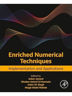 Preview of E book Enriched Numerical Techniques Implementation and Applications Primera Edition by  A