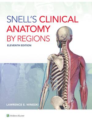 Preview of Snell’s Clinical Anatomy by Regions 11th Edition By Lawrence Wineski ISBN: 9781975194093