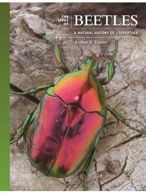 Preview of E book The Lives of Beetles A Natural History of Coleoptera (The Lives of the Natural Worl
