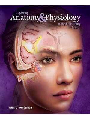 Preview of Exploring Anatomy and Physiology in the Laboratory 3rd Edition By Erin Amerman