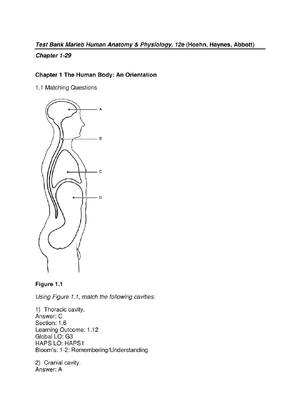 Preview of Test Bank Marieb Human Anatomy & Physiology, 12th Edition (Hoehn, Haynes, Abbott) All Chap