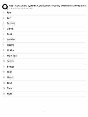 Preview of AEST Agriculture Systems Study Guide / Poultry External Anatomy 6 of 8 / Score 100% / 2025