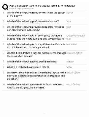 Preview of ICEV Certification Study Guide / Veterinary Medical Terms & Terminology / Score 100% / 202