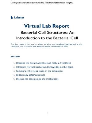 Preview image for Bacterial Cell Structures BIO 101 (BIO101) Simulation Insights Complete & Verified Lab Report Rated A+
