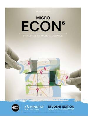 Preview of Econ mirco 2nd Edition By Rama Rao Nadendla