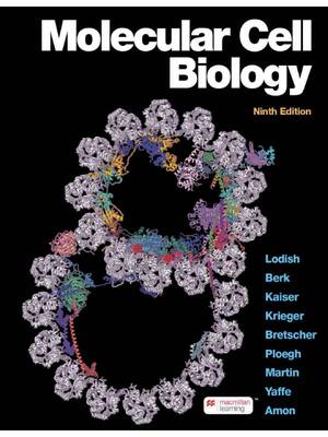Preview of Molecular Cell Biology 9th Edition By Harvey Lodish, Arnold Berk, Chris A. Kaiser