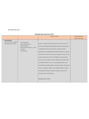 Preview of ERIC FORD CARE PLAN