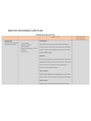 Preview of BEATRIZ HERNANDEZ CARE PLAN