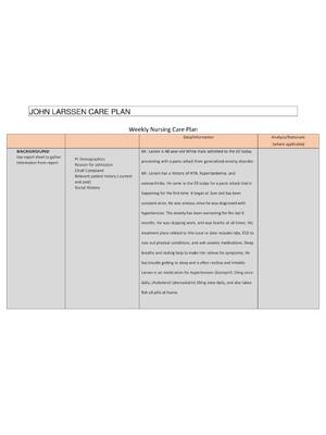 Preview of JOHN LARSSEN CARE PLAN