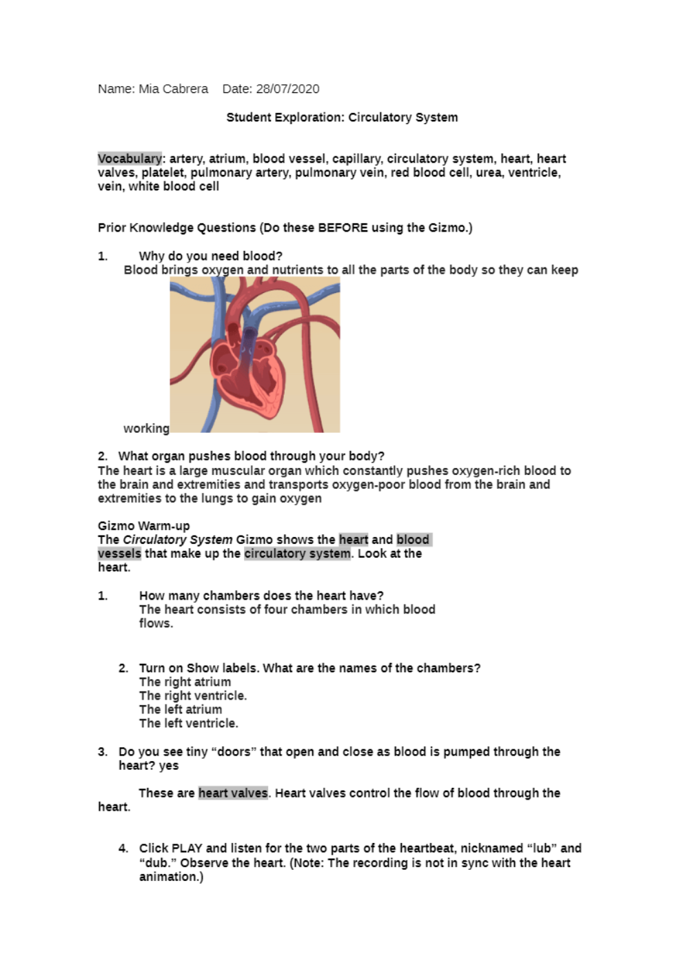 download - 2021-05-01T020138.873.png
