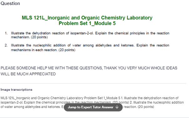 Saint Louis University, Baguio City Main Campus - Bonifacio St., Baguio City  CHEM  CHEM 123  MLS 121L_Inorganic and Org... preview image