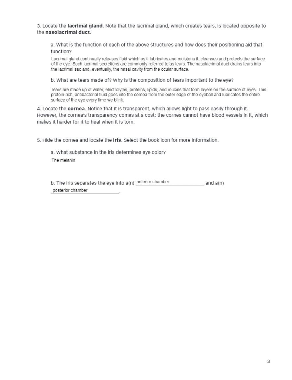 download - 2021-05-16T002830.109.png