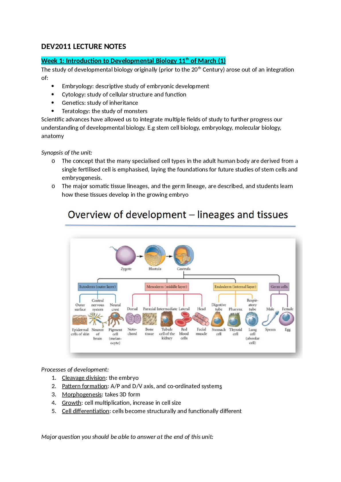 DEV2011_LECTURE_NOTES.docx