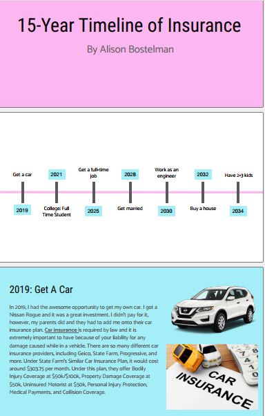 ECON 101 Econ Module 12 Assessment.: 15-Year Timeline of Insurance preview image