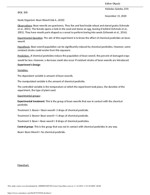 Lab_6.docx