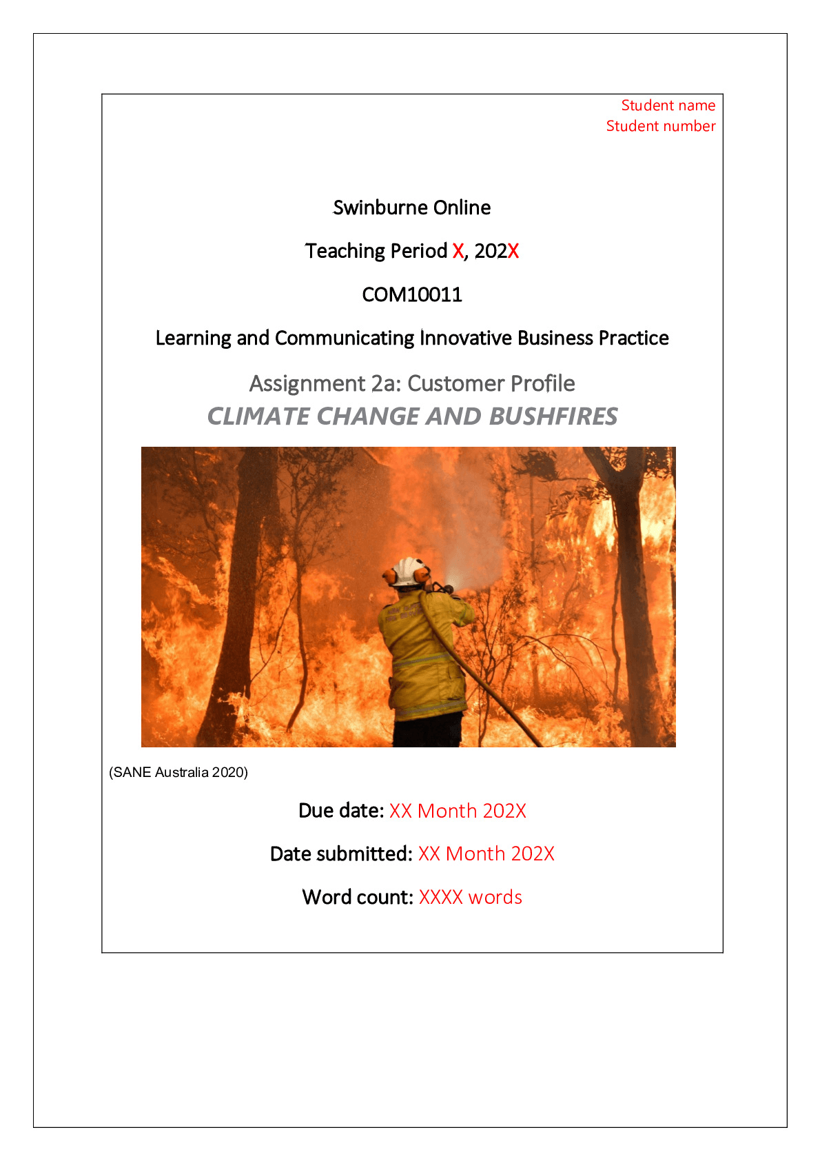 COM10011 Assignment 2A Student Sample. Swinburne University of Technology COM 1001 preview image