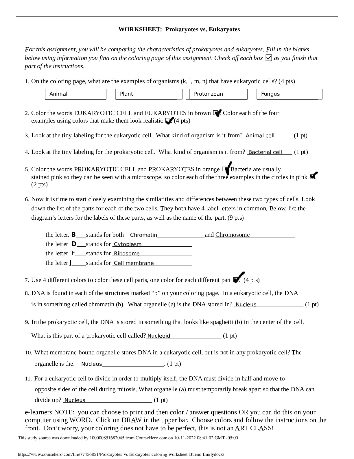Prokaryotes vs Eukaryotes coloring worksheet Bueno Emily Strawberry Prokaryotes vs Eukaryotes coloring worksheet Bueno Emily Strawberry