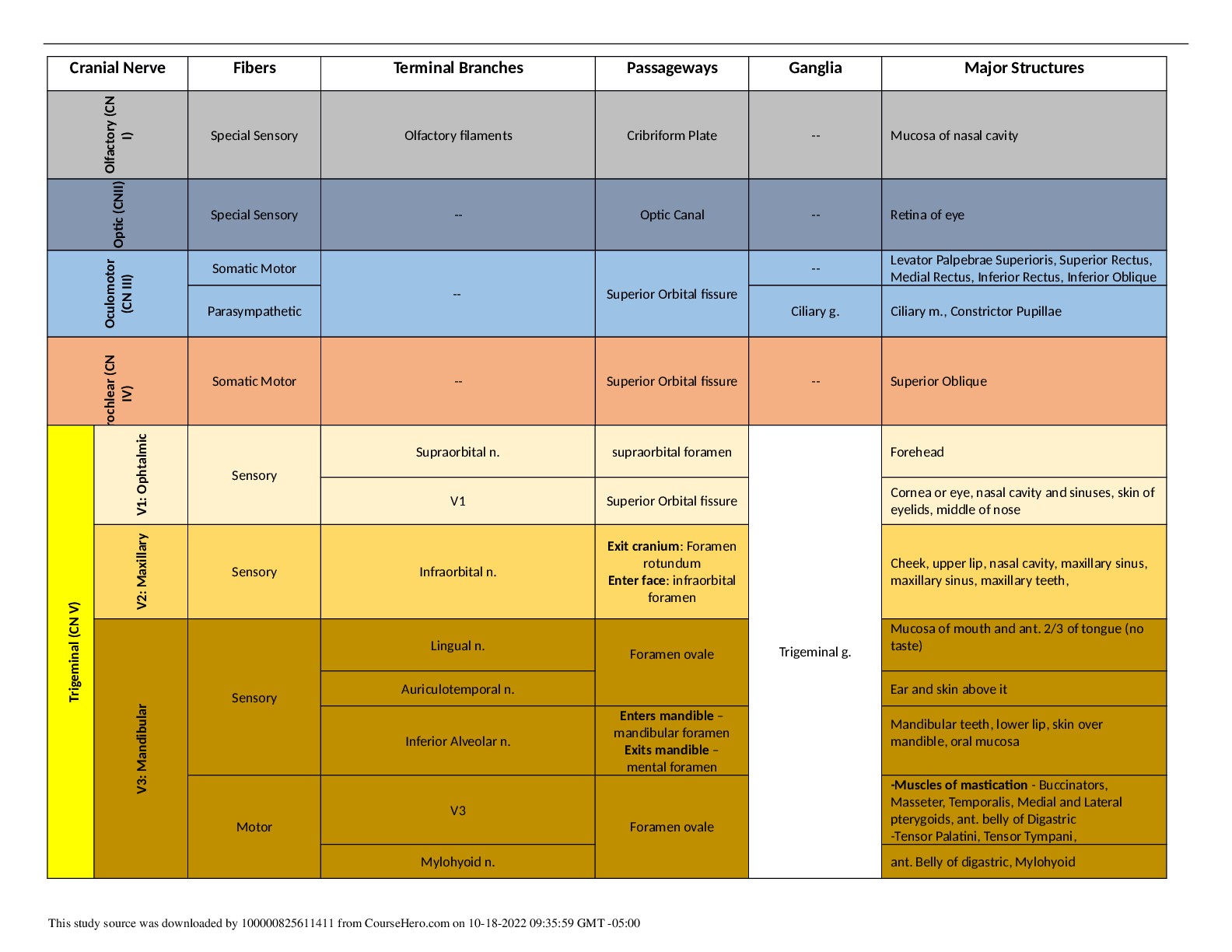 Cranial Nerve chart