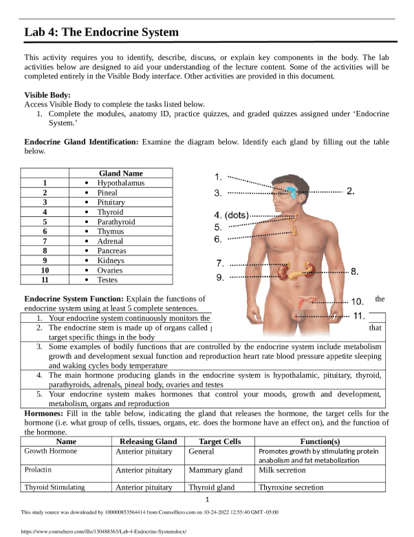 Endocrine Panel Lab Test NURSING 806-177 Lab 4: The Endocrine System