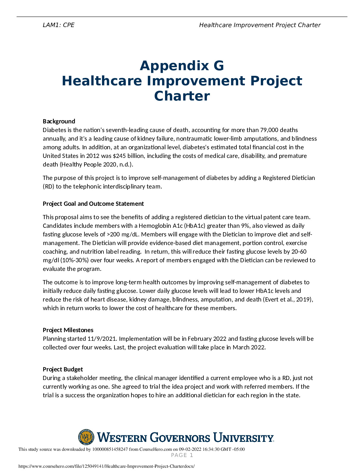 Healthcare_Improvement_Project_Charter.docx