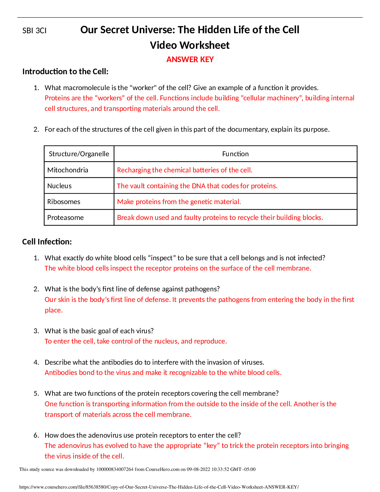 Copy_of_Our_Secret_Universe_The_Hidden_Life_of_the_Cell__Video_Worksheet___ANSWER_KEY_