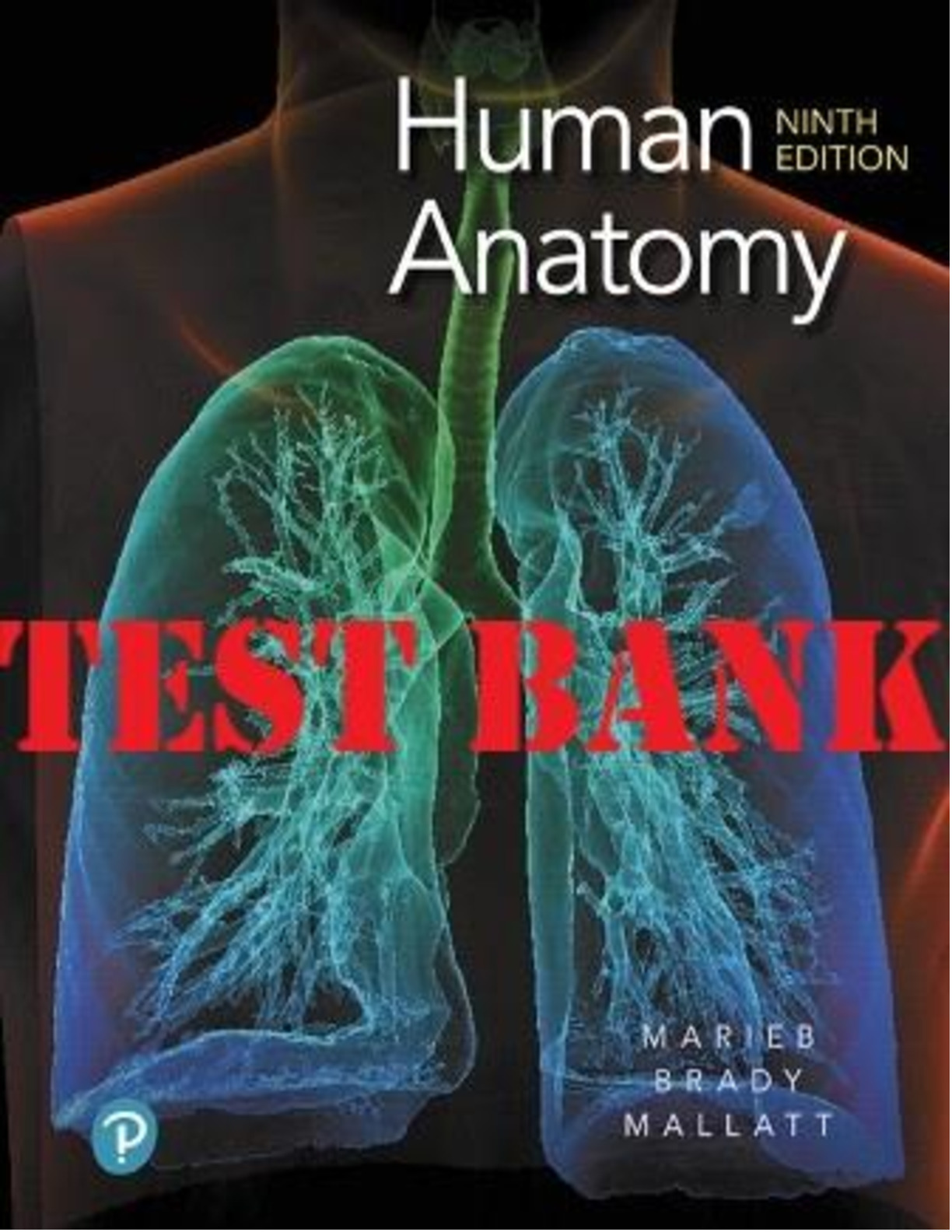 Test Bank for Human Anatomy 9th Edition by Marieb
