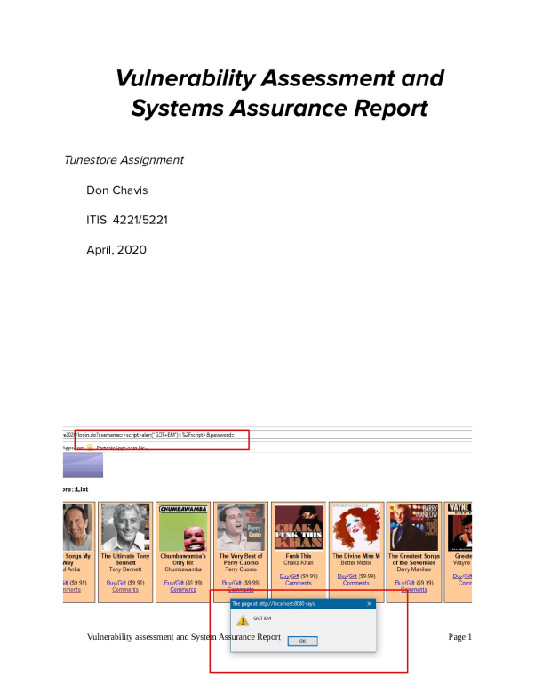 Tunestore_Report_Phase_3__ZAP_Analysis__Don_Chavis.docx