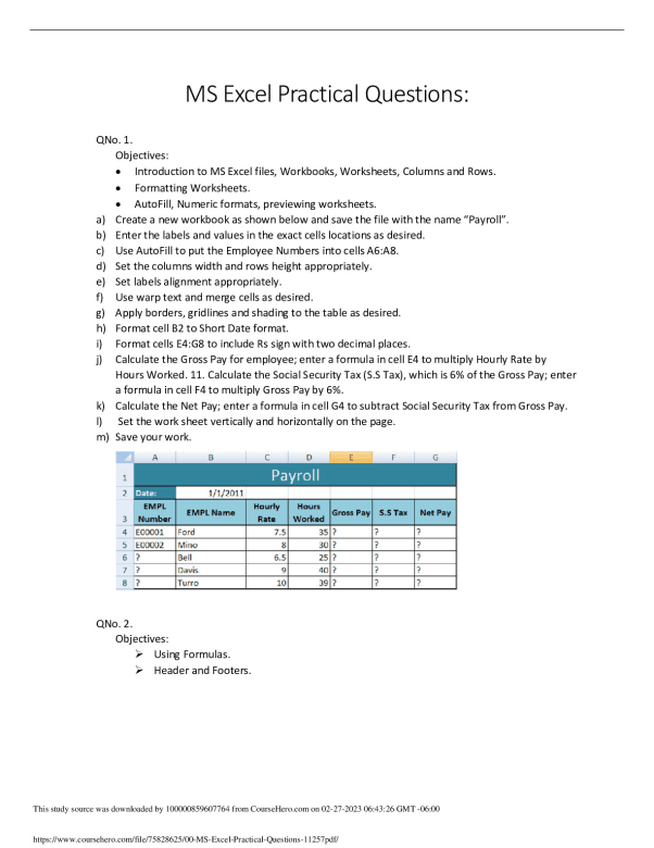 00 MS Excel Practical Questions-11257. preview image