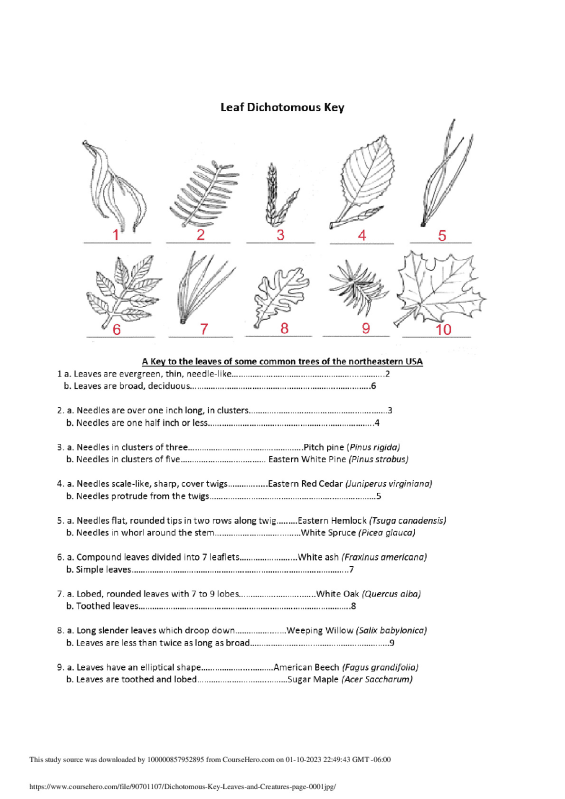 Dichotomous Key Leaves and Creatures_page-000 University of California ...