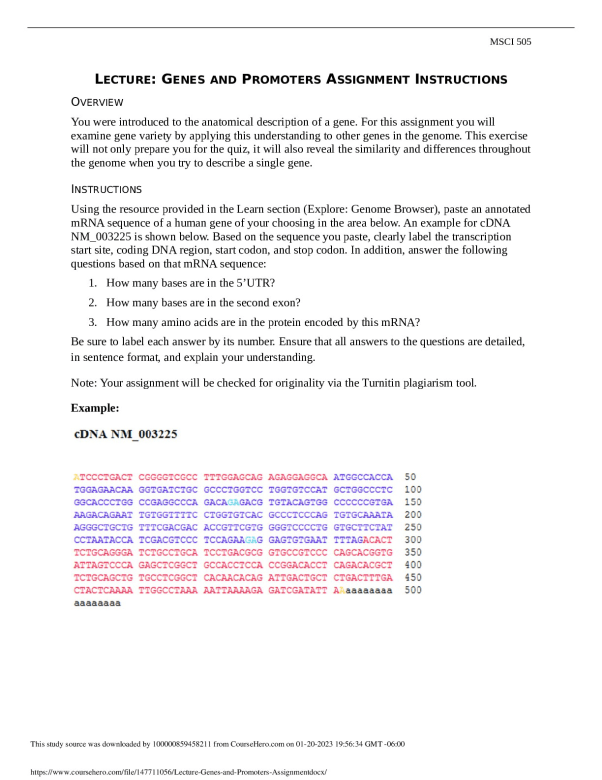 Lecture_Genes_and_Promoters_Assignment.docx