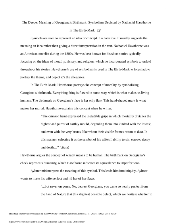 Literary Analysis Essay Outline preview image