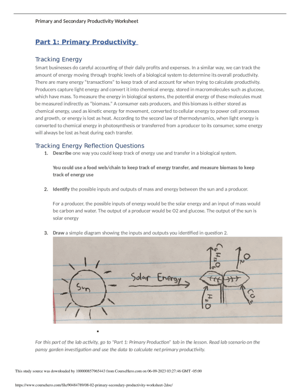 08 02 primary secondary productivity worksheet (2) doc