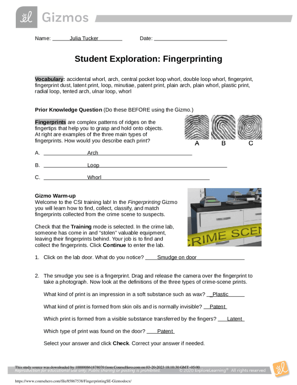 FingerprintingSE_Gizmo.docx