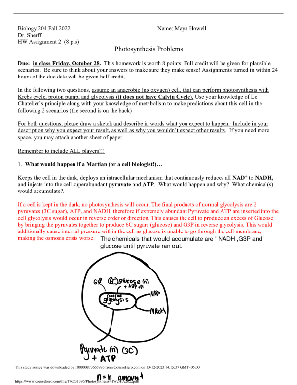 Photosynthesis_HW2_FA2022.pdf