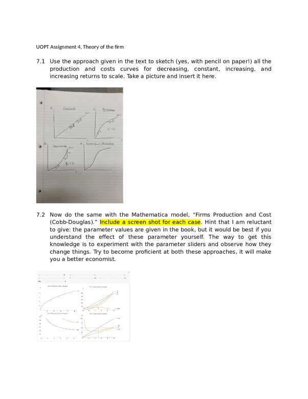 UOPT_Assignment_4__Theory_of_the_firm_1.docx