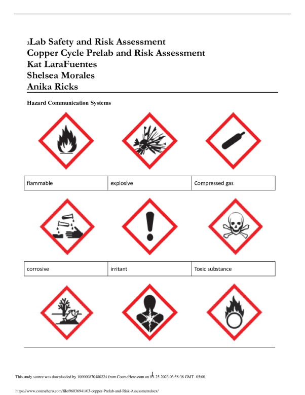 03_copper Prelab and Risk Assessment. preview image