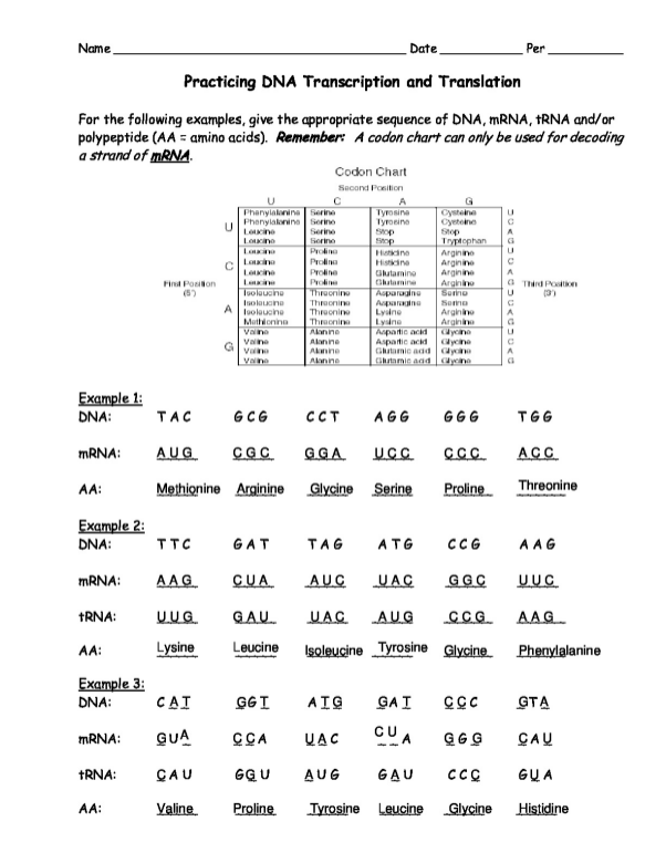 10th_3__transctranslpractice__1_.pdf
