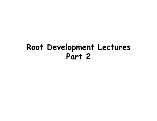 14_Roots_2