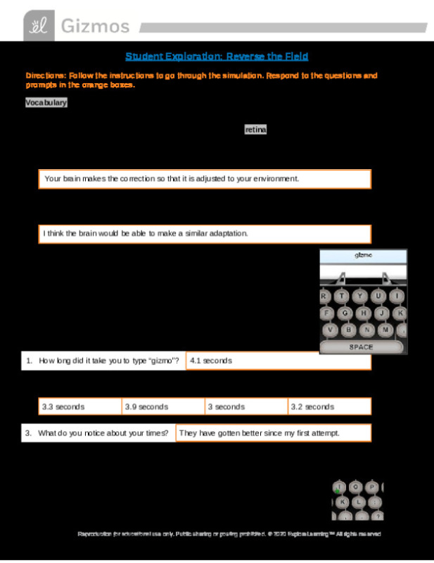 Gizmo__Reverse_Field.docx