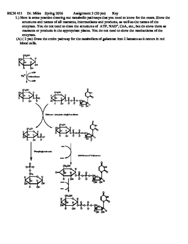 BICH 411 Dr. Miles Spring 2016 Assignment 3 (50 pts) Key preview image