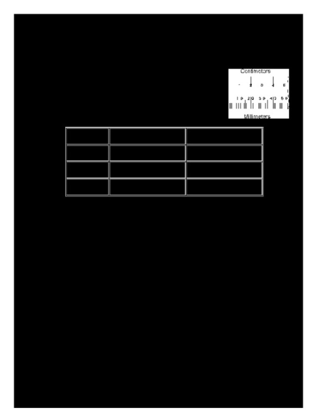 Metric_Measurement_Lab.pdf