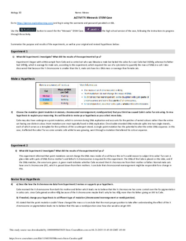 Meowsis_Stem_Case.docx.pdf