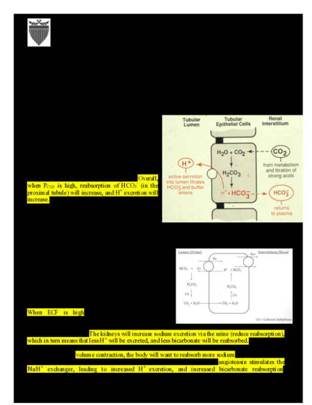 RNL14_Acid_Base_Case_Discussion_013120_Uncorrected__1_.pdf