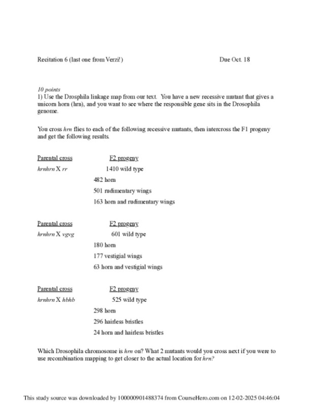 Recitation6_2023.pdf