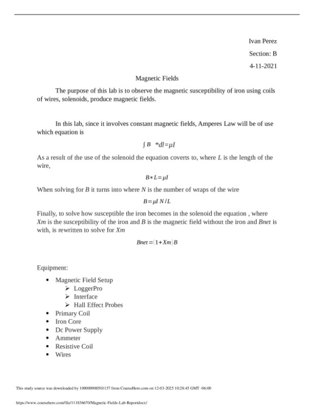 Magnetic_Fields_Lab_Report.docx