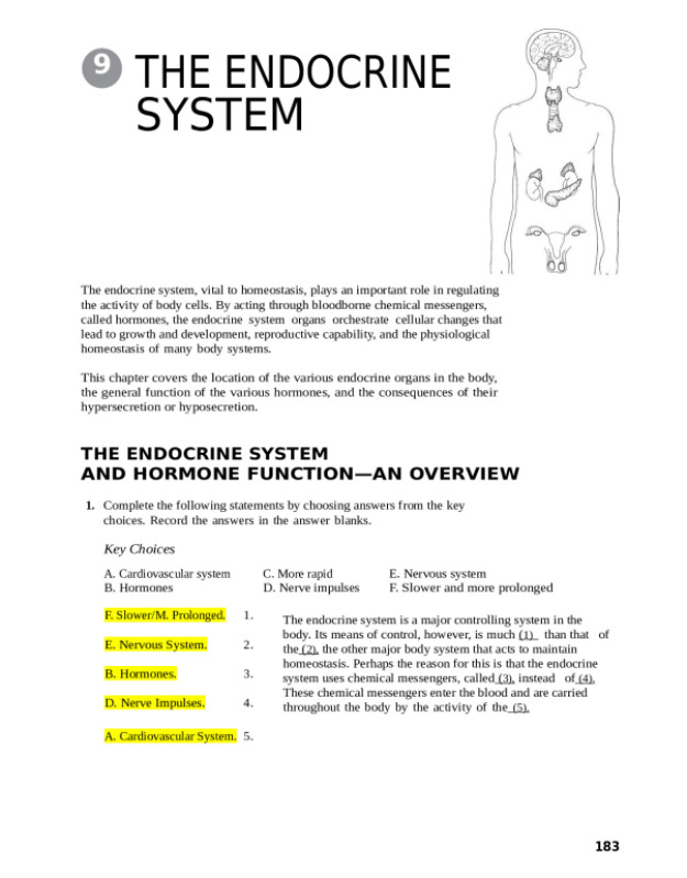 Endocrine_System_Done.docx