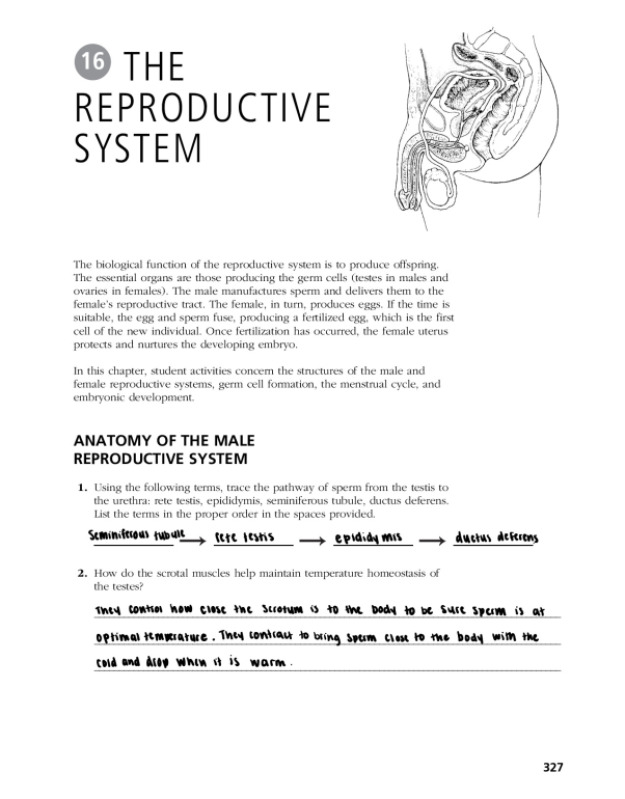 EC_11_Reproduction_1__1_.pdf