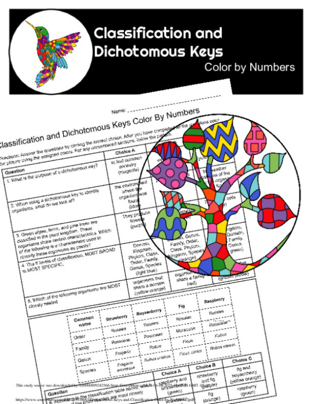Science 7TH Classification and Dichotomous Keys Color by Numbers document preview