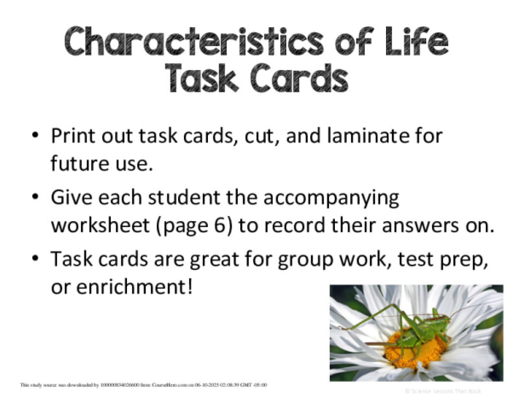 Chars_of_life_task_cards.pdf
